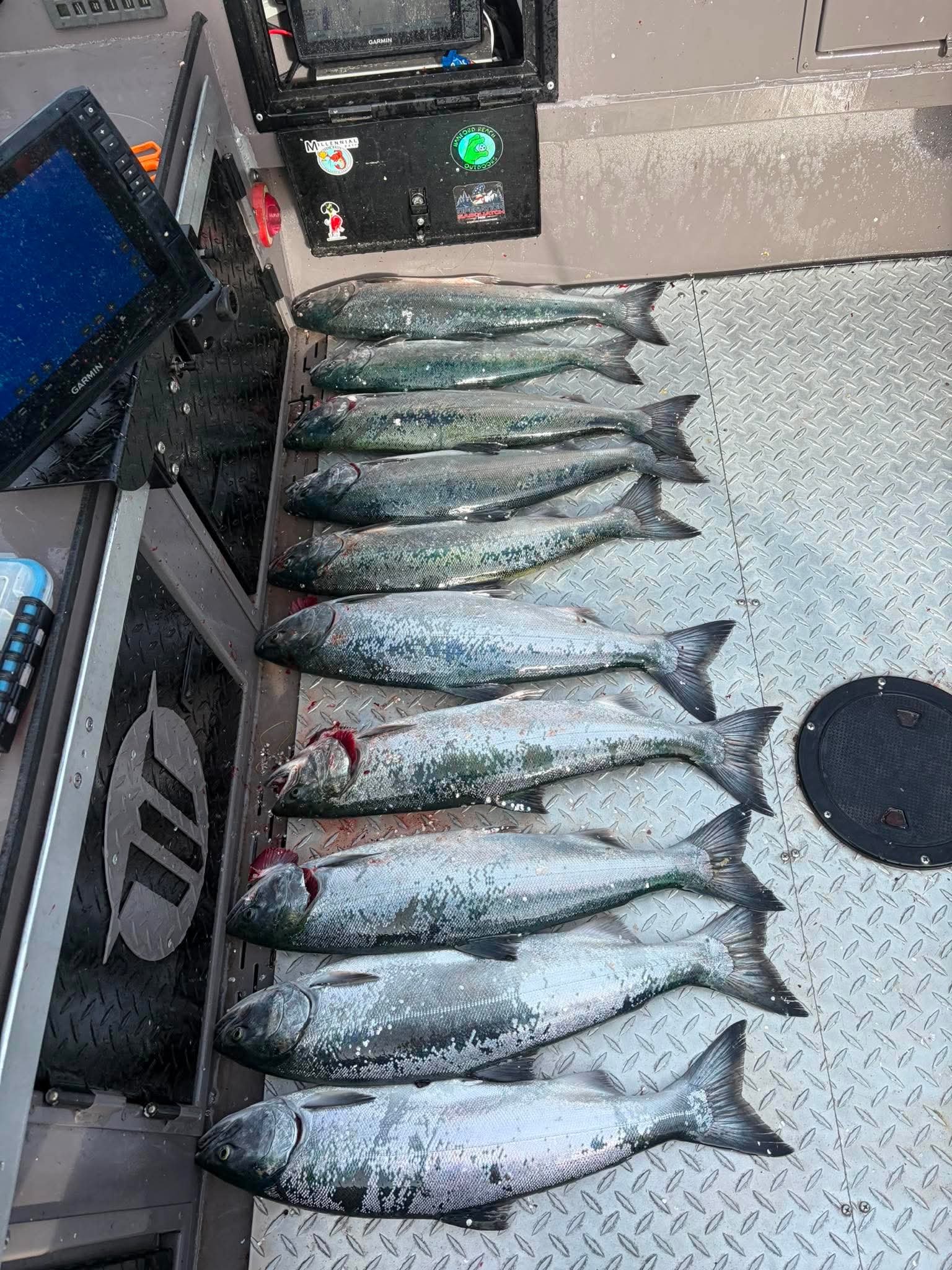 Coho Salmon guided fishing with Fin Addict Sportfishing