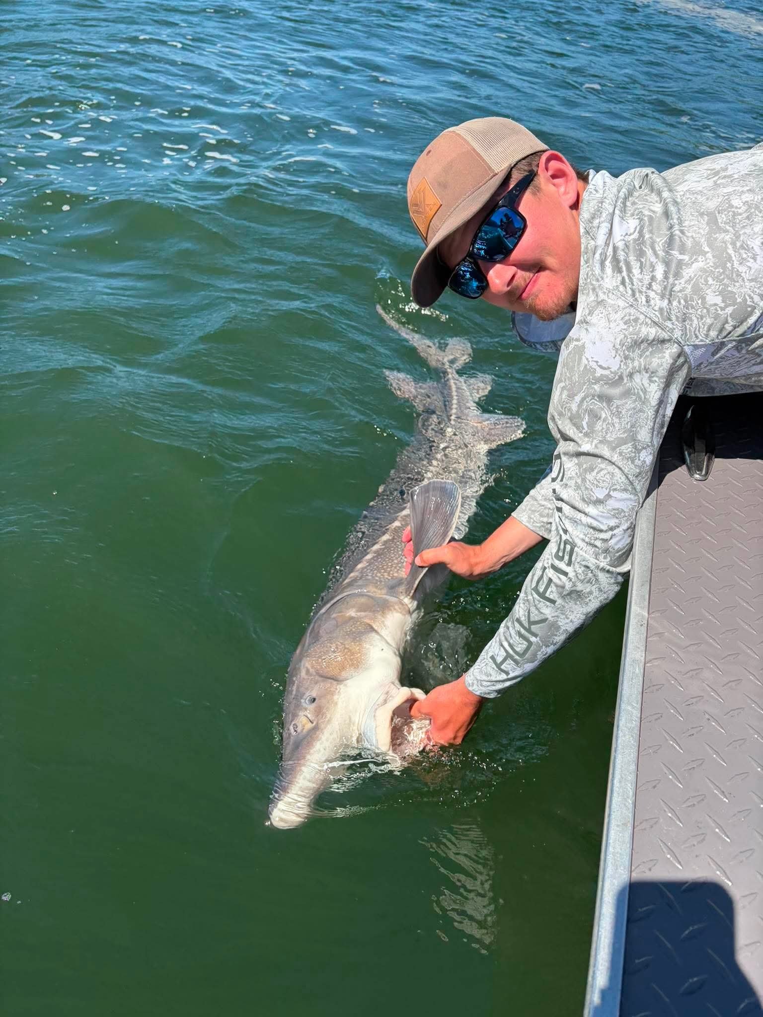 Catch & Release Sturgeon guided fishing with Fin Addict Sportfishing